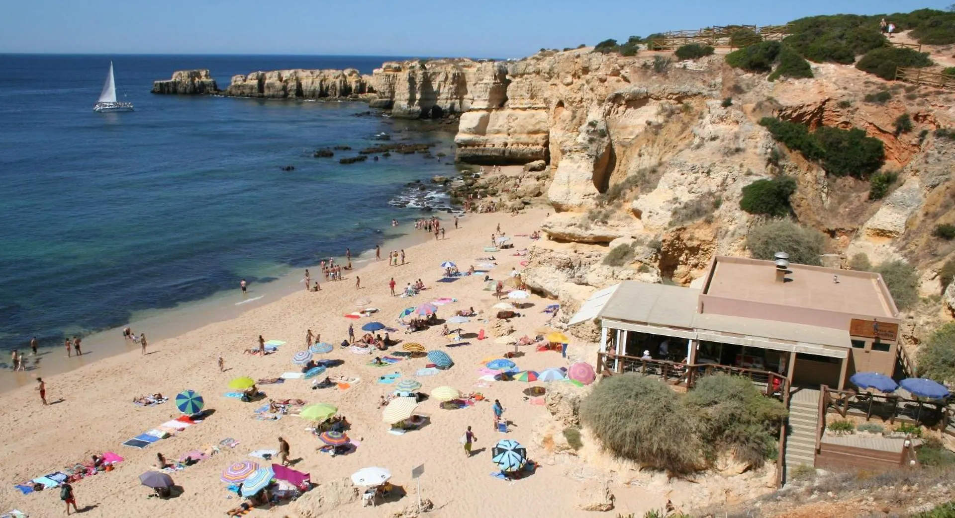 Pine Tree Apartments - Praia Da Coelha - 阿尔布费拉