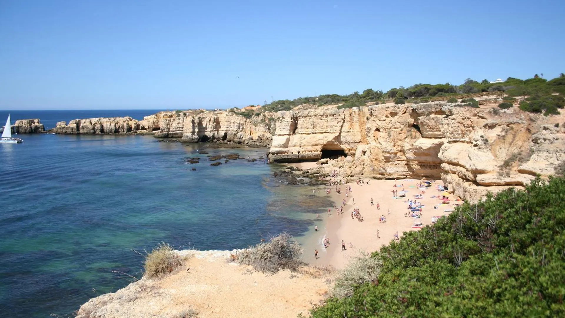 Pine Tree Apartments - Praia Da Coelha - 阿尔布费拉 葡萄牙