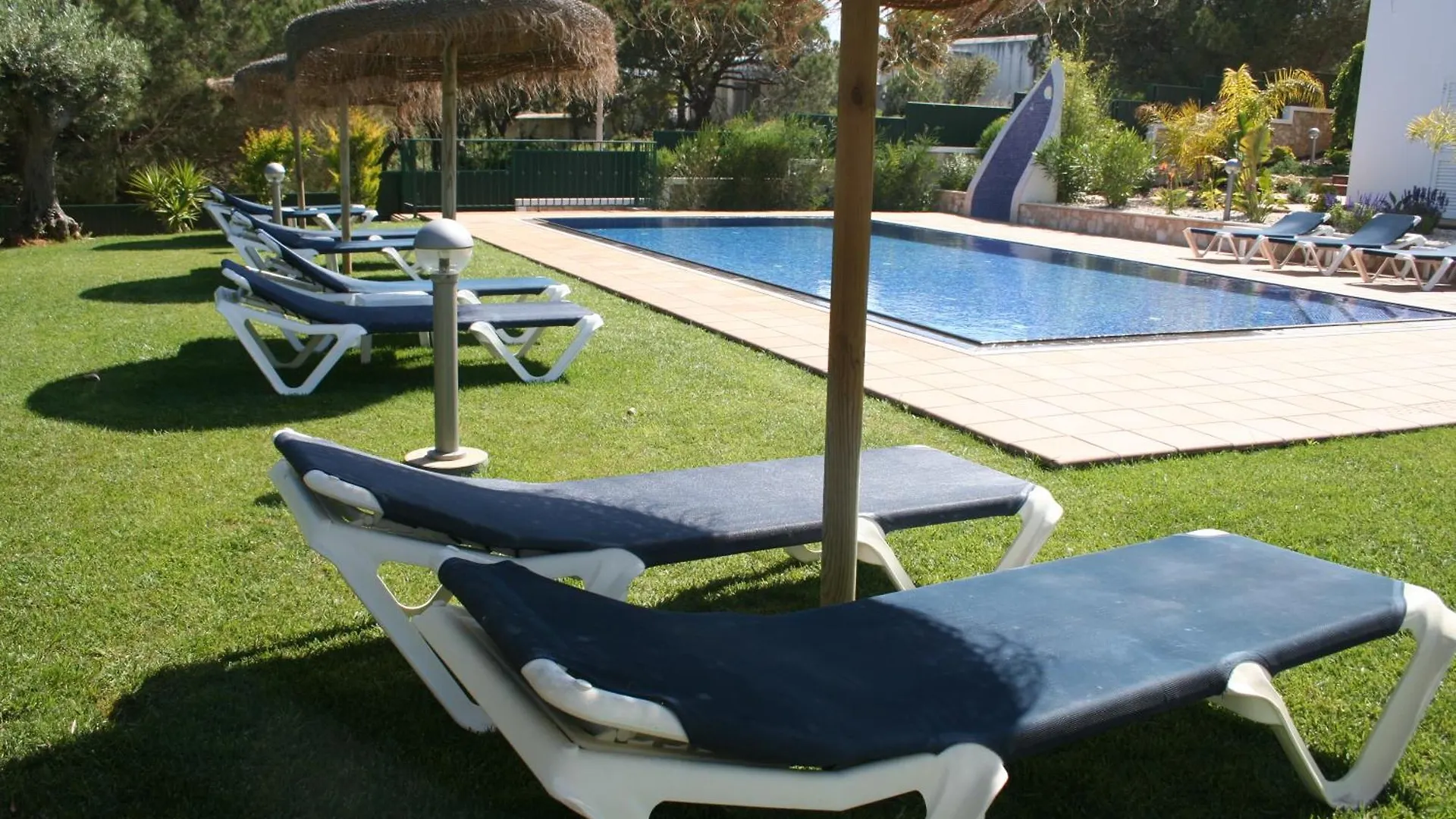 Pine Tree Apartments - Praia Da Coelha - 阿尔布费拉